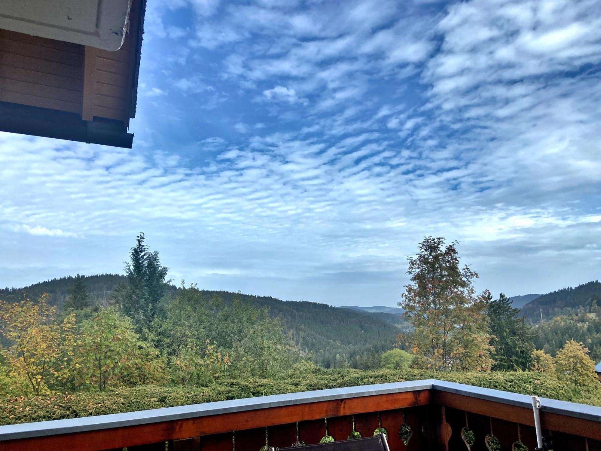 Ferienwohnung Seeblick Nr 2 5-Zimmerwohnung - Feldberg Baerental Rotwasser Eksteriør bilde
